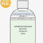 DERMA FACTORY Kombucha 80% Treatment Toner Питательный тонер с экстрактом Комбучи, 250мл