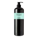 Shampoo VALMONA Ayurvedic Scalp Solution Black Cumin  Шампунь для волос АЮРВЕДА 480 мл
